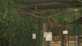 Sportende burgers boos vanwege bouw schutting Paramaribo Zoo