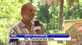 Paramaribo Zoo beschikt eindelijk over verdovingsgeweer