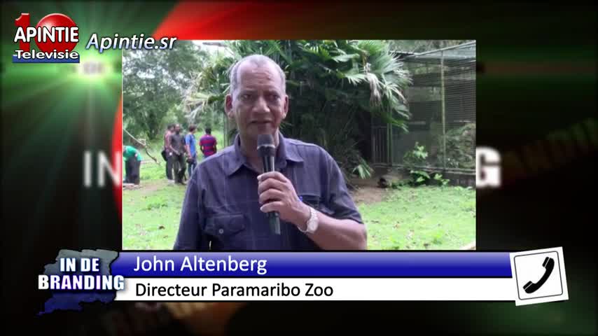 Ondersteuning vanuit de overheid kan Paramaribo Zoo helpen